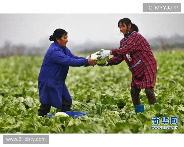 全面解析白菜信息：种植技巧与市场动态