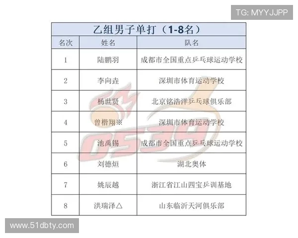 乒乓球比赛成绩记录的重要性与数据分析方法探讨